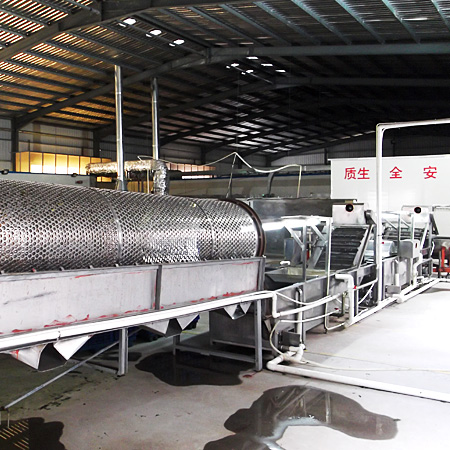 滾筒清洗青海苔